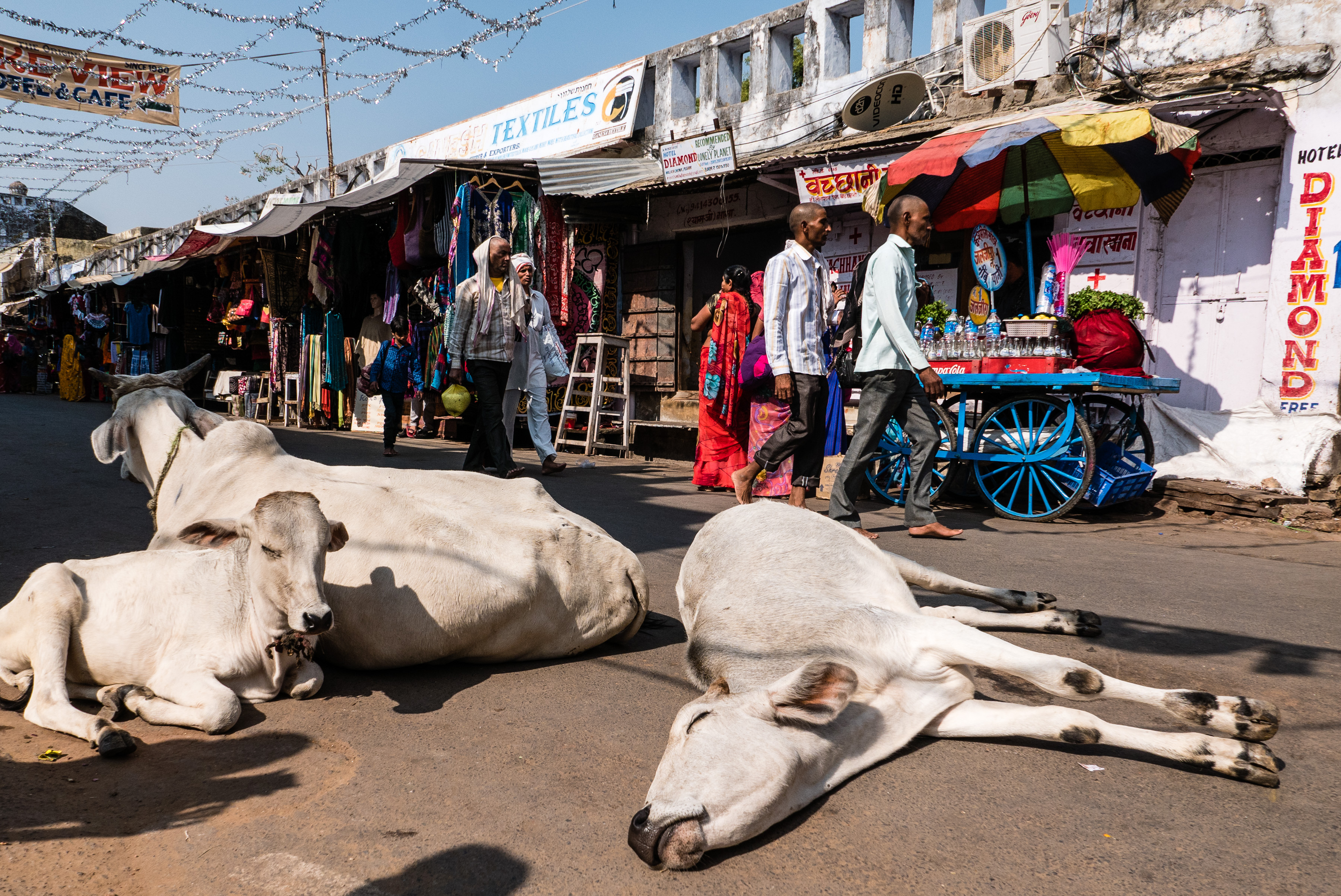 Pushkar